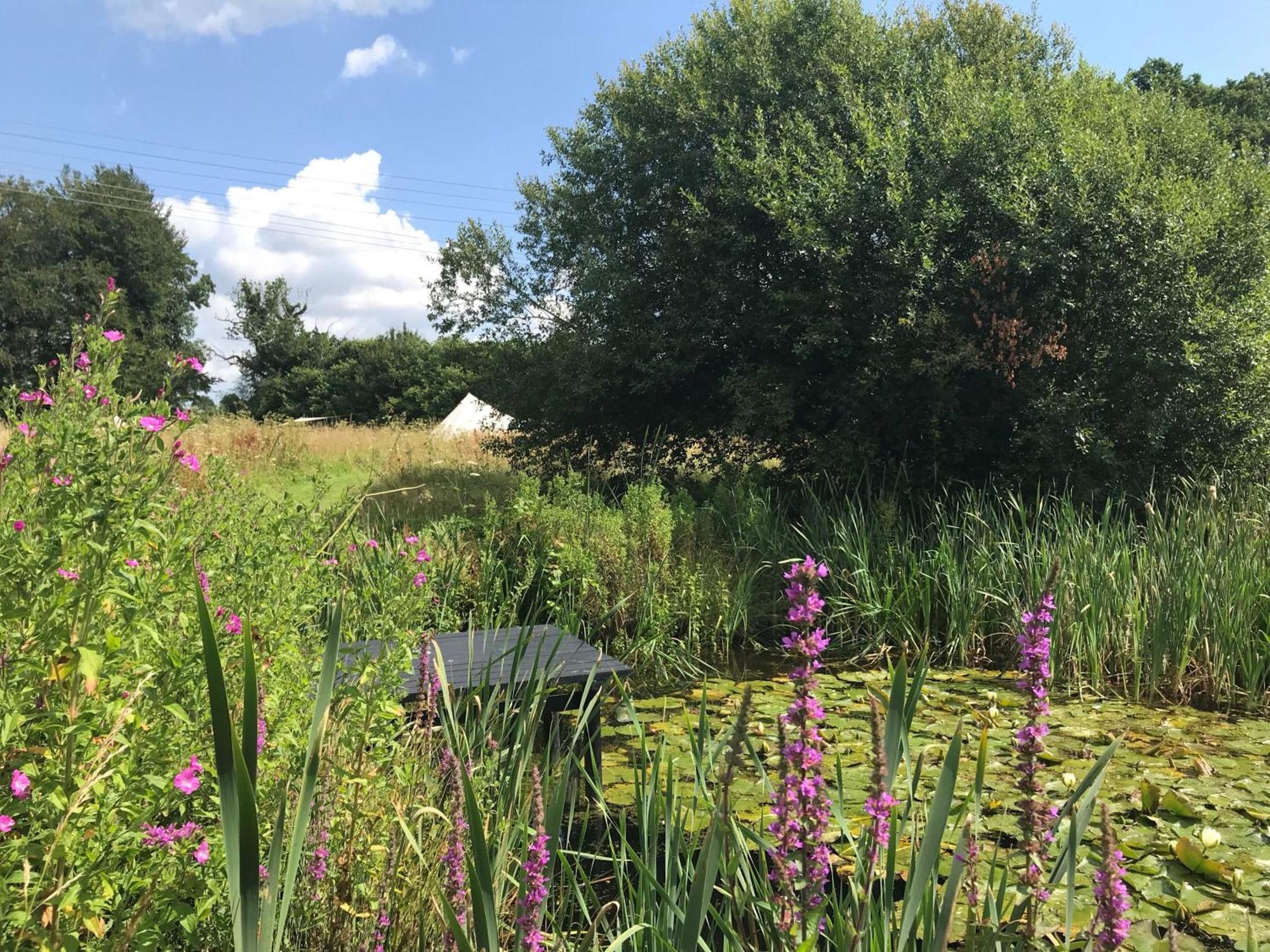 Вилла Lilypad, Iris And Bulrush Swannington  Экстерьер фото